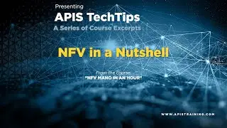 Apis TechTip: NFV in a Nutshell