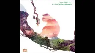 Gray Umber Sky - Le perroquet de la jungle