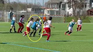 Vfl Sindelfingen vs SpVgg Cannstatt 05-04-25