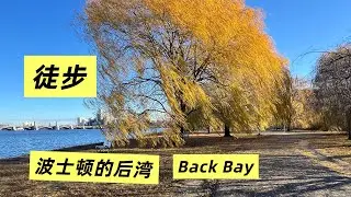 冬天来看波土顿14：清晨在后湾区徒步 纽伯里街上欣赏民宅 查尔斯河边看金色杨柳 Hiking at Boston-Back Bay of Boston