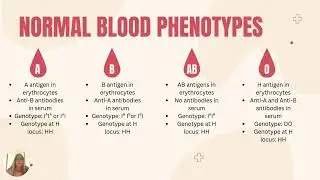 GEN 3020 - The Bombay Phenotype