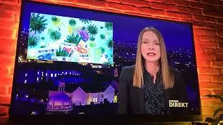 Cute dog interrupts TV news! Funny! See the description!