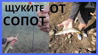 ЩУКИТЕ ОТ ЯЗОВИР СОПОТ