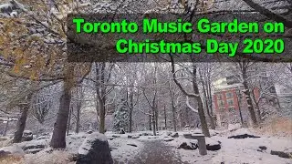 Toronto Music Garden on Christmas Day