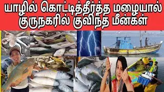 சற்றுமுன்! மீனை அள்ளிச் சென்ற மீனவர்கள்!!!