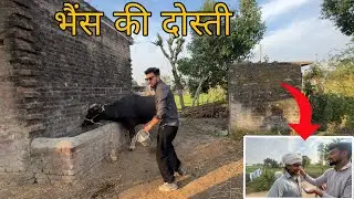 भैंस की दोस्ती😂🐃||Family vlog🎀||Sahil Beyal Vlogs||