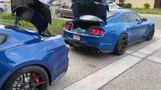 Steeda GT350R & 2020 GT500 Trunk POP Modification