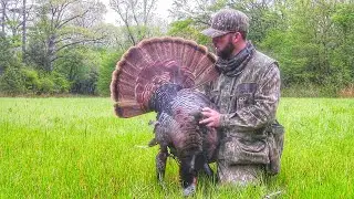 Spring Turkey Hunting 2021 (Boss Gobbler)
