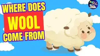 Sheep and wool | Sheep shearing | wool taken from a sheep | yarn process | Animated explanation