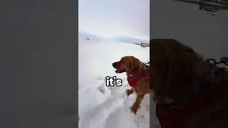 Water Freezes In 0.3 Seconds&hellip; #relatable #viral #shorts