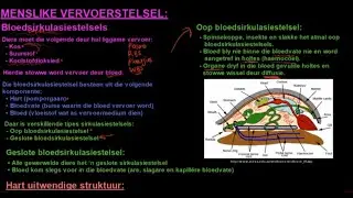 Graad 10 Lewenswetenskappe Menslike Vervoerstelsels DEEL 1