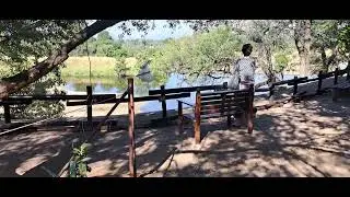What makes Berg-en-Dal Rest Camp so cool in Kruger National Park! #wow #africa #animals #wildlife