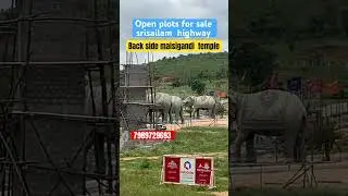 Open plots for sale in Srisailam Highway |￼Maisigandi Temple #gatedsociety #trending #property #city