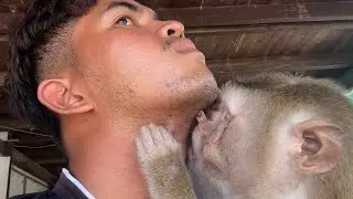 ASMR Monkey Grooming| Nurs Zueii Smooth Talk Tenderly Grooming Remove My Beard