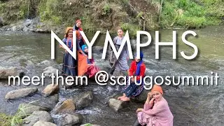 Journey to Sarugo. Meet nymphs at 'RUMAH GADANG' , a heritage that is more than 100 years old.