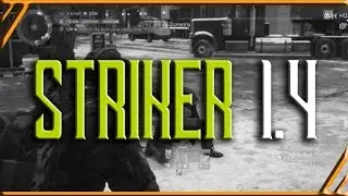 Striker Four Piece Build - MASSIVE Damage Gun Skill Build - The Division