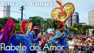 Flabelo do Amor - Aurora dos Carnavais 2024