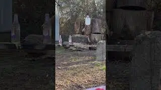 Backyard friendly .30?