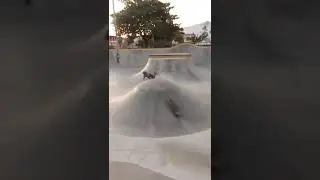 Stony Hawk