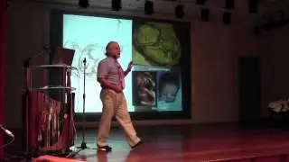 Leonardo da Vinci a 15th Century Anatomist(5/9)