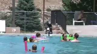 The Hot Spring Pools of Thermopolis