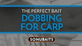 Dobbing for carp - the perfect bait