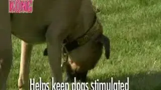 KONG EXTREME