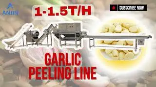 Indurstrial 1-1.5T/h Garlic Production Line Garlic Breaking Peeling Processing Line