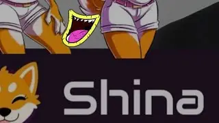 URGENT TA FOR #SHINA INU HOLDERS ARE WE PUTTING IN A BULLISH CUP AND HANDLE? IF SO NEW high incoming