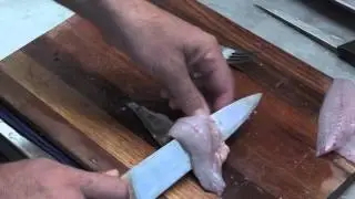 Herring Skining