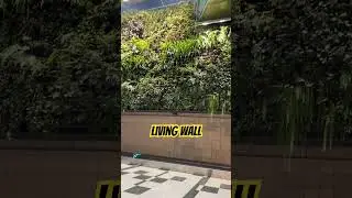 Inside Changi&rsquo;s Living Wall &mdash; A Green Airport 🌿