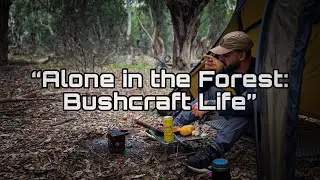 Alone in the Forest: Bushcraft Life 🔥🪵 #bushcraft #camping #hottent #firewood 
