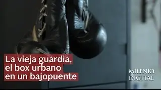 La vieja guardia, boxeo de barrio para todo el p&uacute;blico