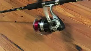 Daiwa Strikeforce 4000 B