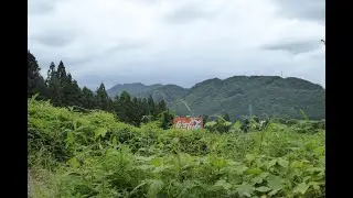 [Japan] Nikko & Kinugawa Onsen: bridges, nature & monkeys