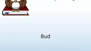How to say Bud in English? - Pronunciation Owl