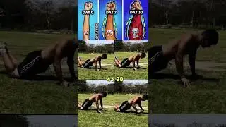veiny hands workout 🔥‼️save and try... #gym #bodybuilding #abs #sixpack #workout #share#homeworkout