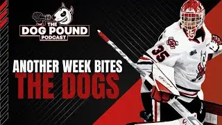 Another Week Bites The Dogs - Dog Pound Podcast