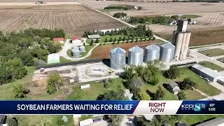 Soybean farmers face grain storage problems amid federal government shutdown