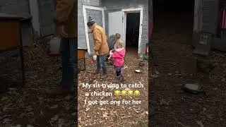 Sis trying to catch chickens