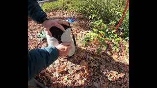 Sea to Summit Evac Compression Dry bag review.  #hiking #gearreview #backpacking #asmroutdoors