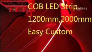 COB LED Strip:Customized multi-color LED strips(Easy Custom,Low MOQ,Fast Delivery)