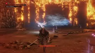 Inner Father (base Vitality with Demon bell&charmless) damageless