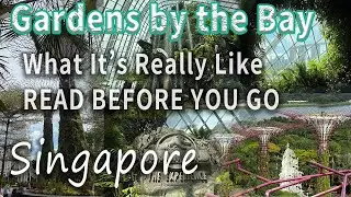 【Singapore】Gardens by the Bay Explained｜Flower Dome, Cloud Forest & Jurassic World