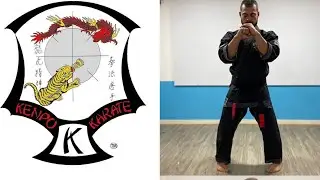 KENPO KARATE THE POWER