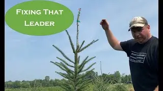 Ep 6 Tapening the Long Leader