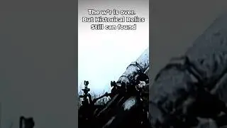 WW2 BATTLEFIELD AFTER 80 years #metaldetecting #ww2 #ww2rebuilder #history #1944 #nature #worldwar2