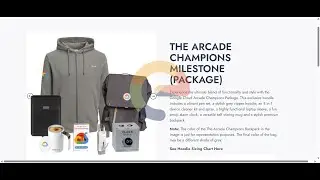 Unbox The Champions Milestone Swags - Google Arcade 2024