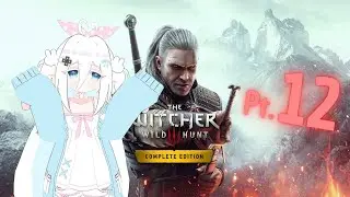 I rizzed too much...【The Witcher 3 BLIND RUN pt.12】