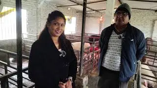 🐖 Pig Farming से कमाएं लाखों | Suar Palan Business Indiaकम लागत में बड़ा मुनाफ़ा | Pig Farm Business